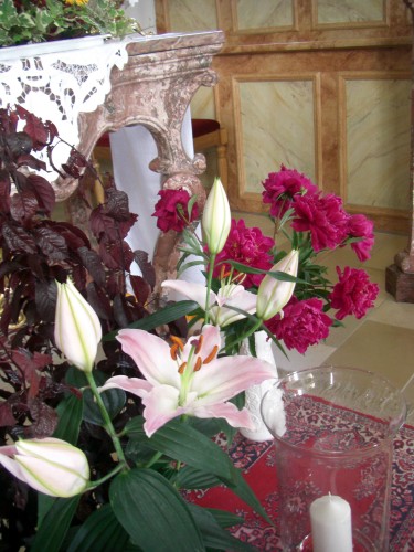 Bild: 40_CIMG3463.jpg